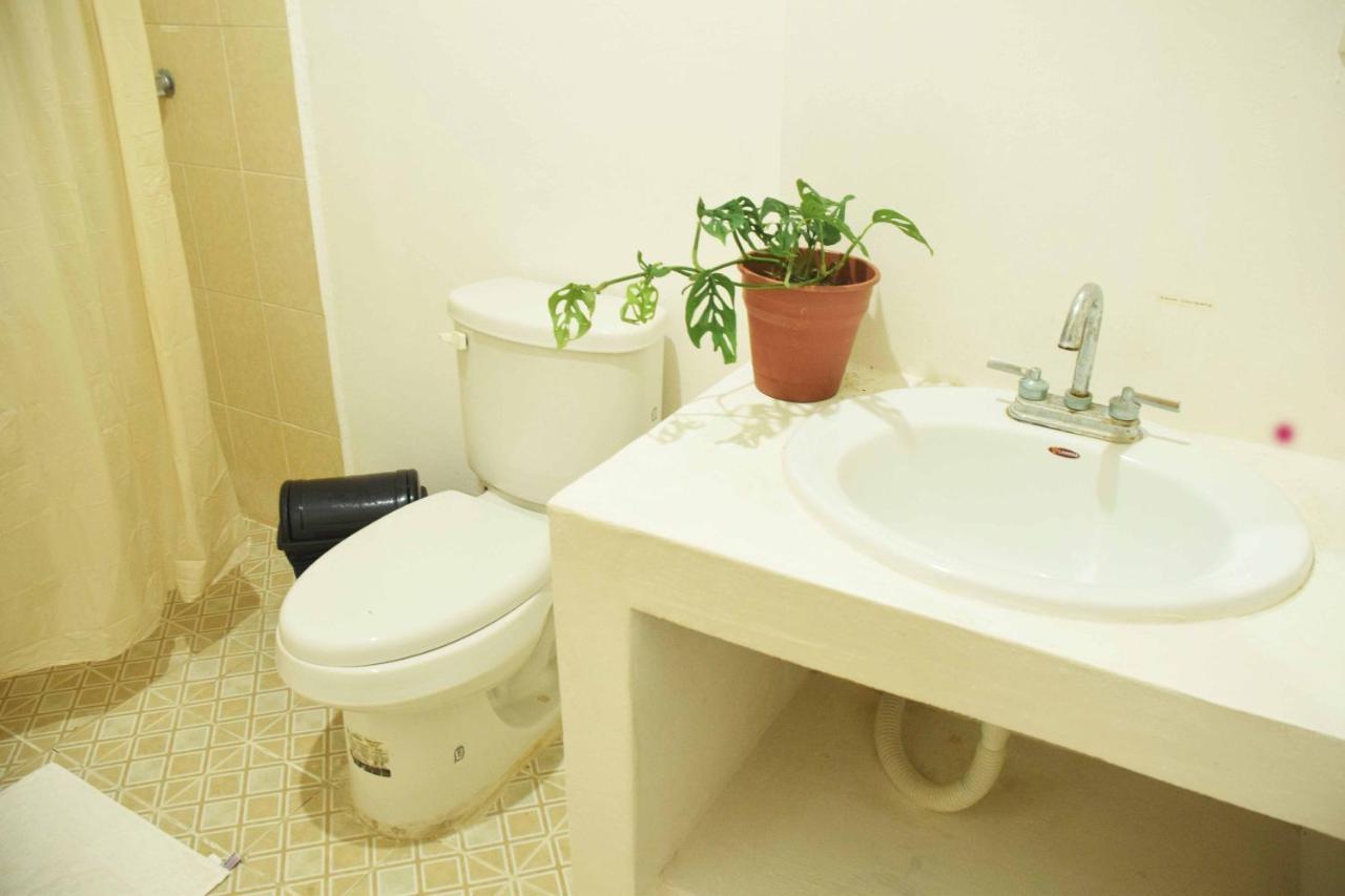 Hostal Casa Bohemia Мерида Экстерьер фото